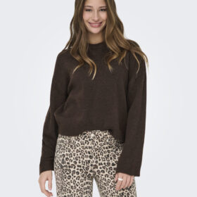 ONLSIMONI L/S O-NECK PULLOVER KNT NOOS 173892