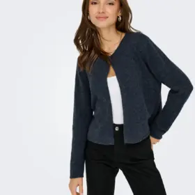 crs_media_55347 174118