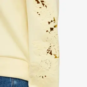 crs_media_62510 185438