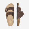 Chocolate Brown