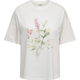 crs_media_66343 191150