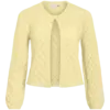 Pastel Yellow