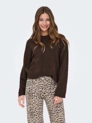 ONLSIMONI L/S O-NECK PULLOVER KNT NOOS - Billede 5